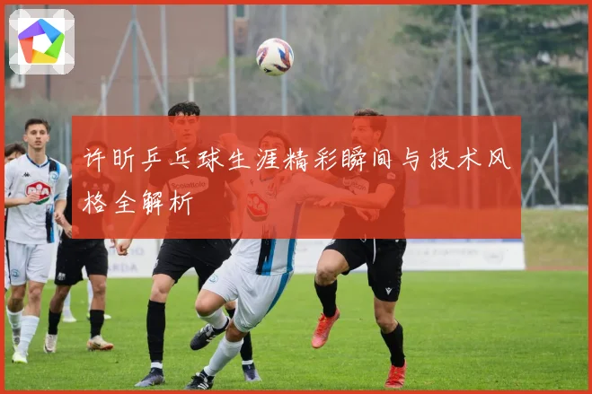 许昕乒乓球生涯精彩瞬间与技术风格全解析