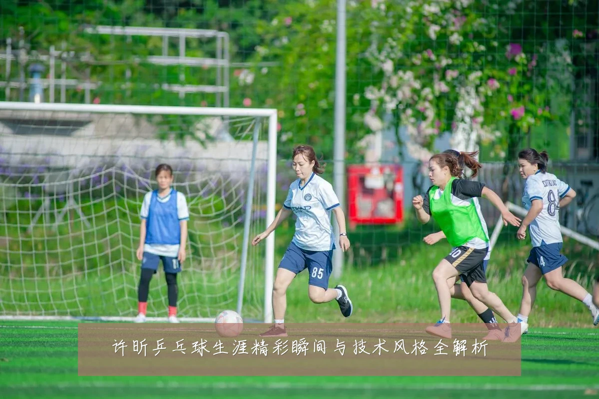 许昕乒乓球生涯精彩瞬间与技术风格全解析